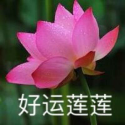 河北涉县太行红色联谊会纪念毛主席诞辰130周年（二）